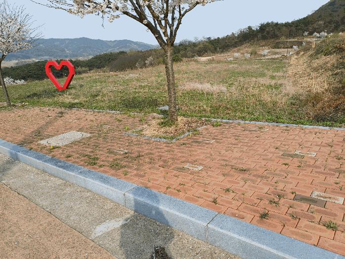 법원경매 2025타경156 사진2 | 상주시 은척면 남곡리 622-2 대지 경매