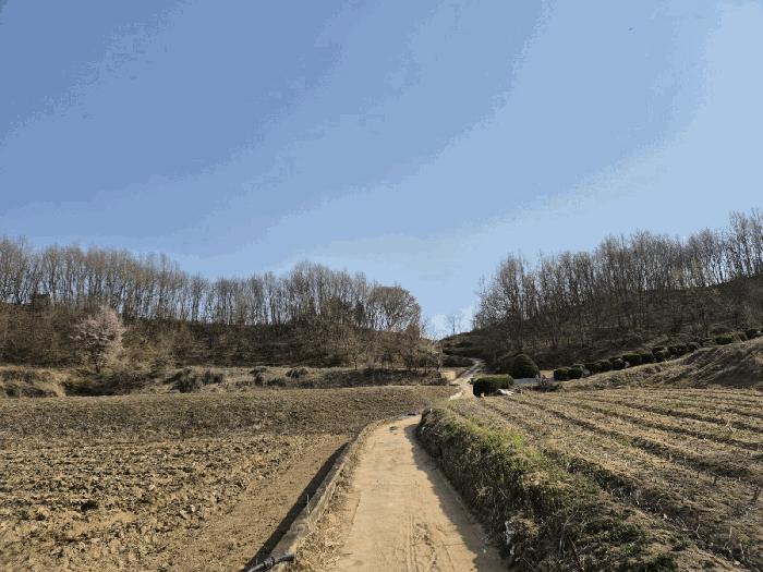 법원경매 2025타경5268 사진2 | 예천군 용궁면 대은리 임야 경매