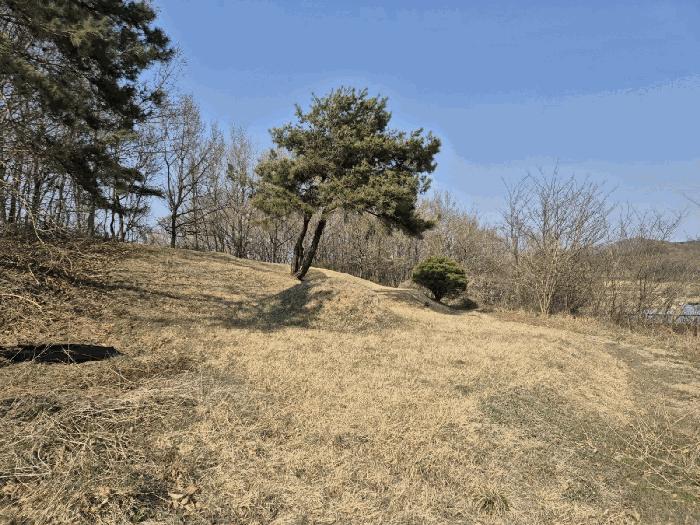 법원경매 2025타경5268 사진3 | 예천군 용궁면 대은리 임야 경매