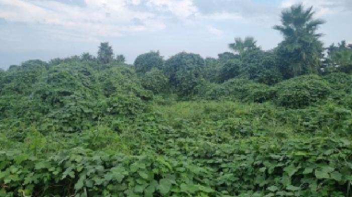 2025타경1597 법원경매 사진13 | 제주 제주시 전답 경매