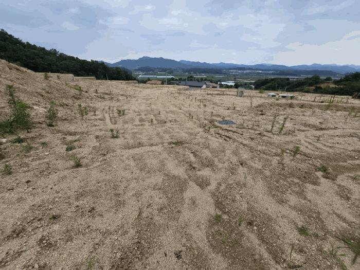 2025타경82 법원경매 사진4 | 충북 옥천군 전 경매