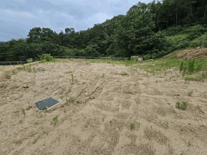 2025타경82 법원경매 사진7 | 충북 옥천군 전 경매