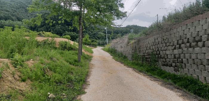 2025타경84 법원경매 사진10 | 충북 영동군 전 경매