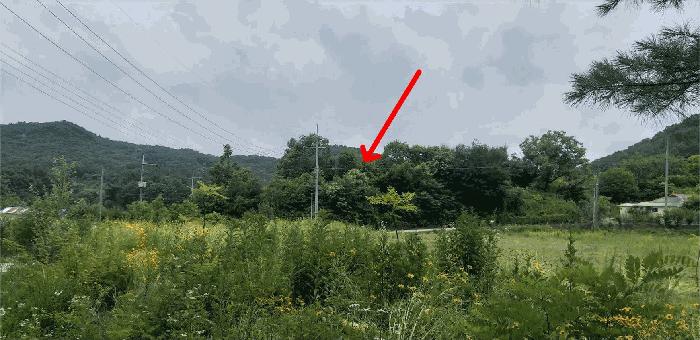 2025타경84 법원경매 사진13 | 충북 영동군 전 경매