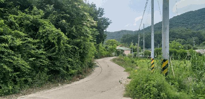 2025타경84 법원경매 사진2 | 충북 영동군 전 경매
