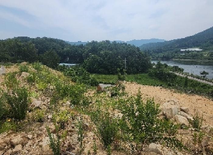 2025타경84 법원경매 사진22 | 충북 영동군 전 경매