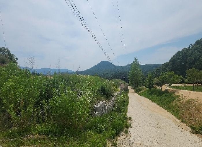 2025타경84 법원경매 사진30 | 충북 영동군 전 경매