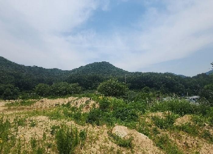 2025타경84 법원경매 사진31 | 충북 영동군 전 경매