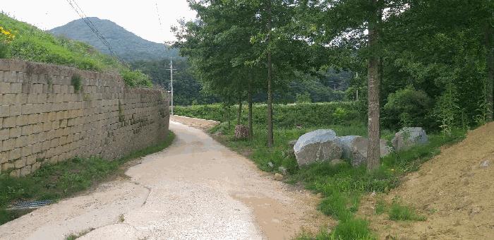 2025타경84 법원경매 사진7 | 충북 영동군 전 경매