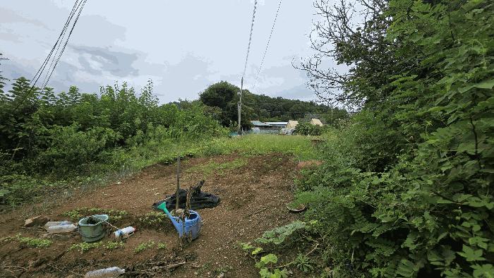 충청북도 영동군 영동읍 부용리 370-3 법원경매 물건 대표사진
