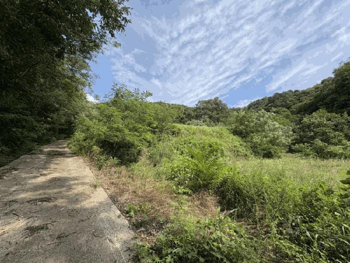 충북 영동군 양산면 원당리 165 과수원 경매 물건 사진