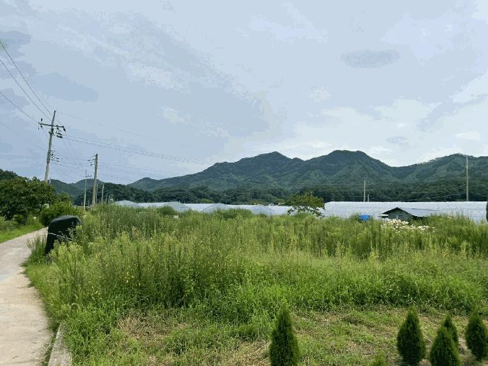 충청북도 옥천군 이원면 강청리 39-18 한내빌라 에이동 5층501호 법원경매 물건 대표사진