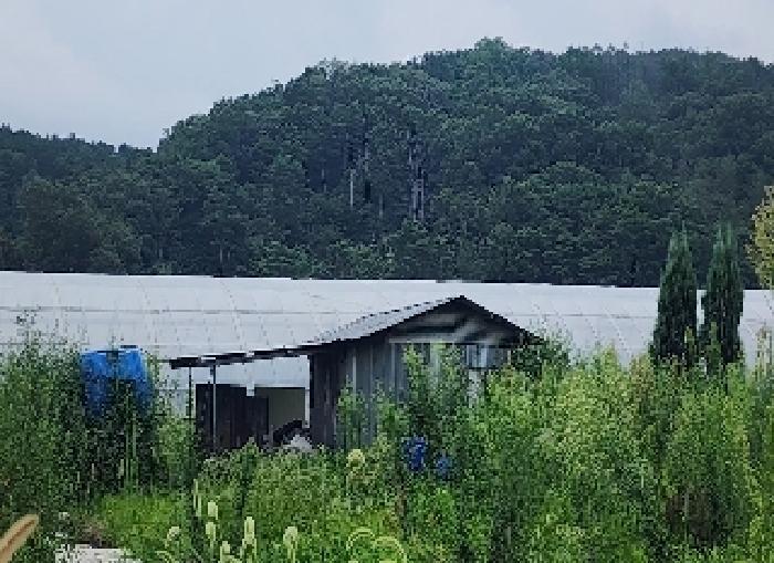 2025타경99 법원경매 사진12 | 충북 옥천군 다세대주택 경매