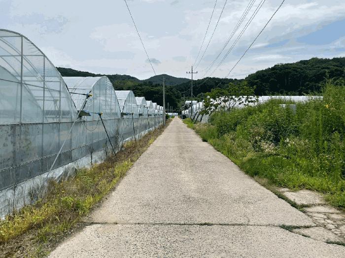 2025타경99 법원경매 사진9 | 충북 옥천군 다세대주택 경매