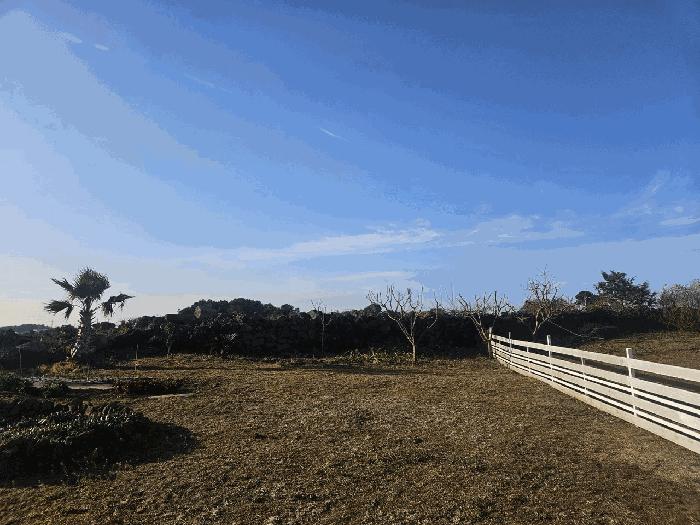 2025타경6228 법원경매 사진2 | 제주 제주시 대지 경매