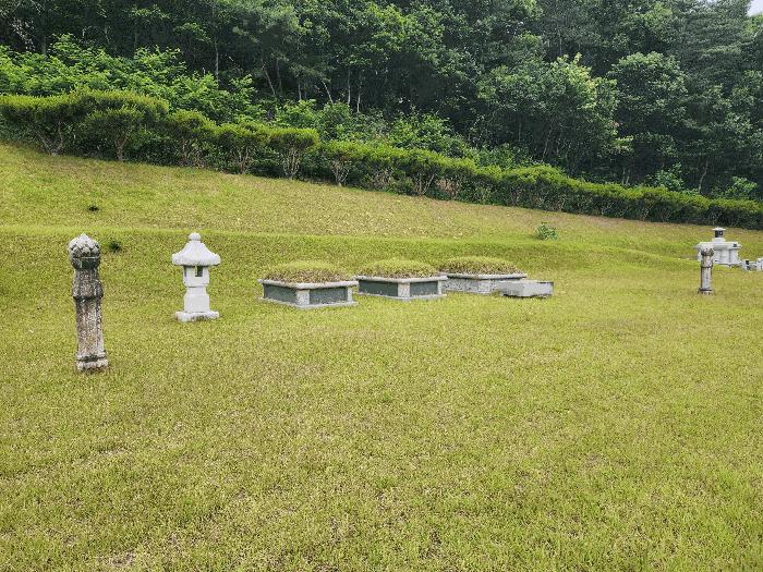 2025타경10148 법원경매 사진7 | 충북 영동군 묘지 경매