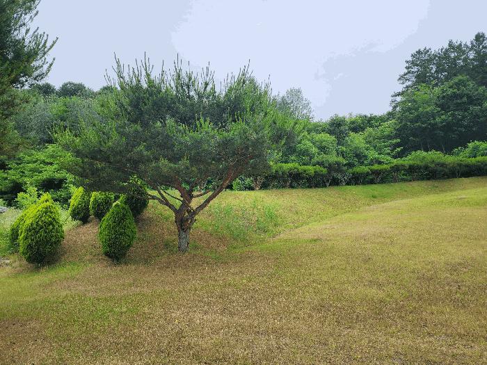 충청북도 영동군 용산면 매금리 310 법원경매 물건 대표사진