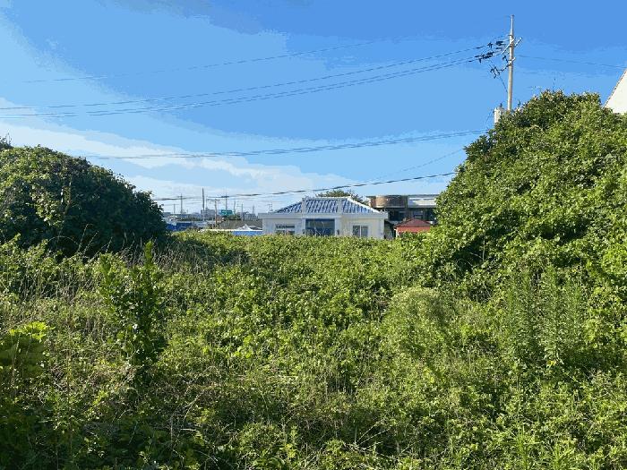 2025타경8404 법원경매 사진3 | 제주 서귀포시 대지 경매