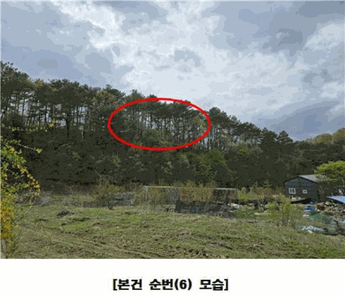 2025타경502158 법원경매 사진2 | 세종 장군면 근린시설 경매