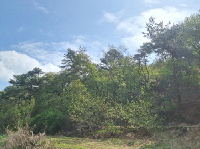 2025타경502158 법원경매 사진41 | 세종 장군면 근린시설 경매