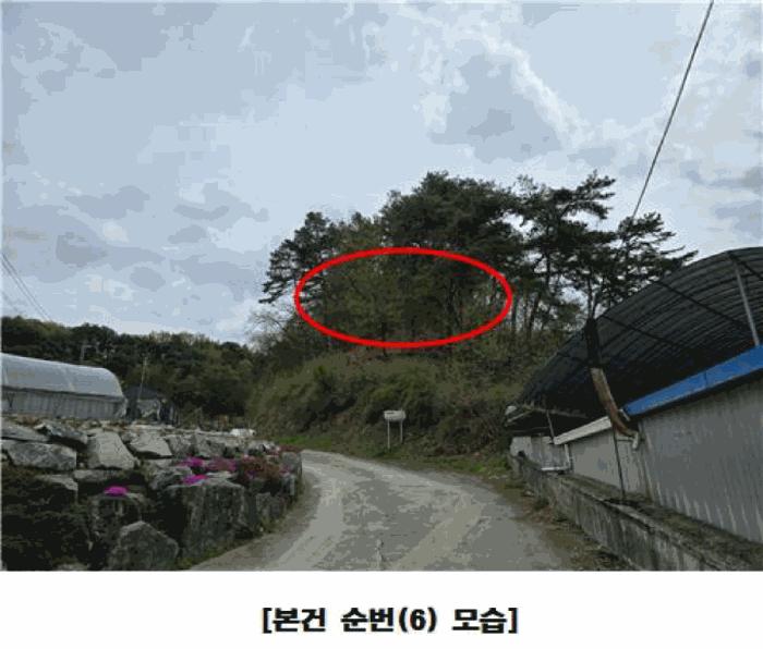 2025타경502158 법원경매 사진9 | 세종 장군면 근린시설 경매