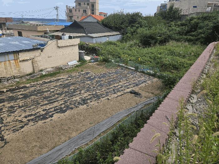 법원경매 2025타경525 사진4 | 경주시 감포읍 오류리 21 전 경매