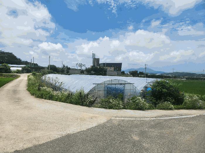 2025타경15792 법원경매 사진3 | 충남 홍성군 답 경매