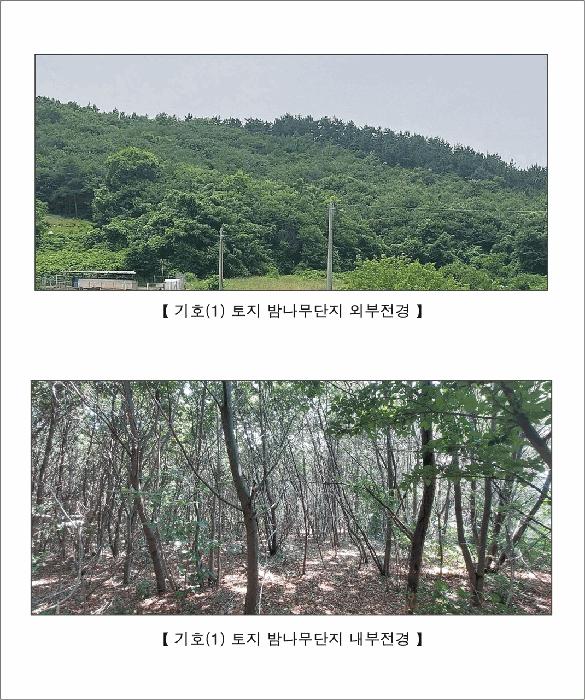 2025타경15806 법원경매 사진3 | 충남 서천군 임야 경매