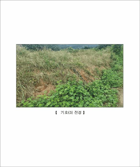 2025타경15806 법원경매 사진4 | 충남 서천군 임야 경매