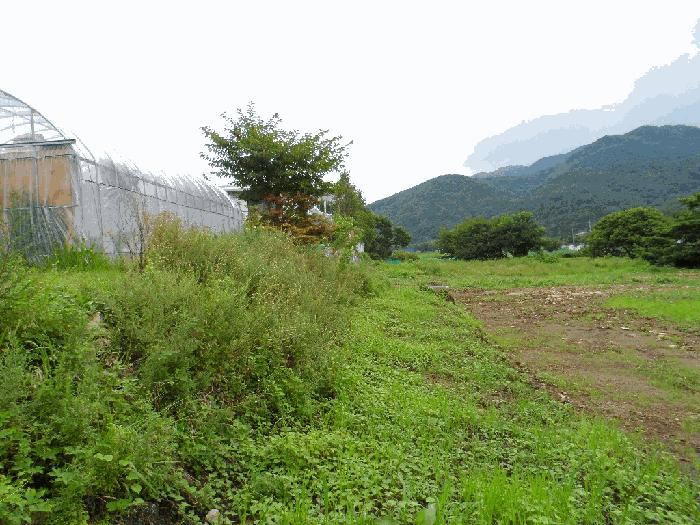 2025타경15847 법원경매 사진2 | 충남 예산군 전 경매