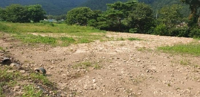 2025타경15847 법원경매 사진6 | 충남 예산군 전 경매