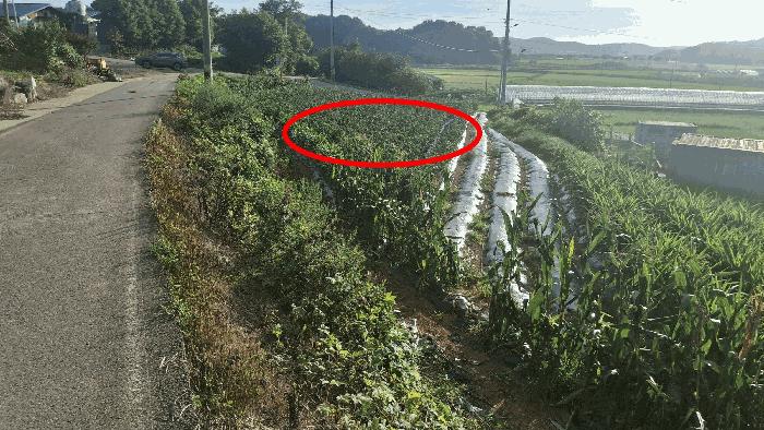 2025타경15859 법원경매 사진2 | 충남 홍성군 전 경매