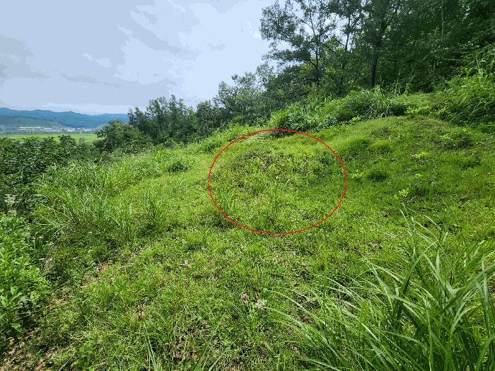 충청남도 예산군 신양면 귀곡리 산44 법원경매 물건 대표사진