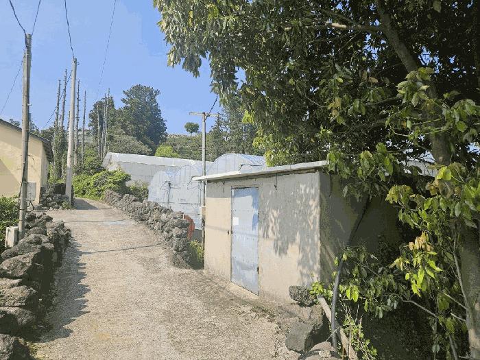 2025타경7922 법원경매 사진5 | 제주 서귀포시 전 경매