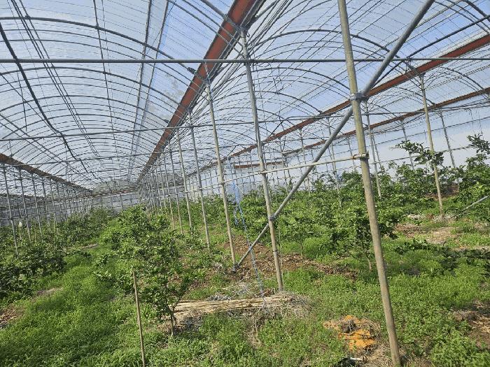 2025타경7922 법원경매 사진7 | 제주 서귀포시 전 경매