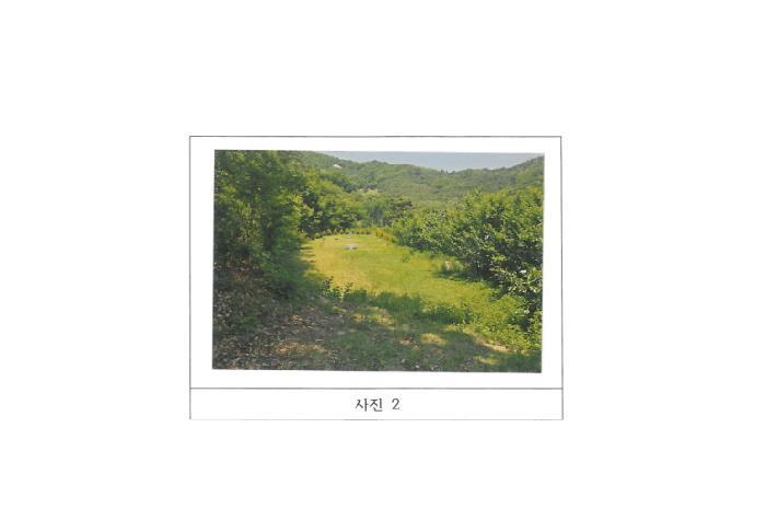 법원경매 2025타경11024 사진6 | 구미시 봉곡동 610 전 경매