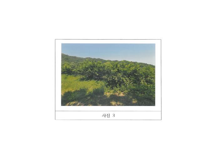 법원경매 2025타경11024 사진7 | 구미시 봉곡동 610 전 경매