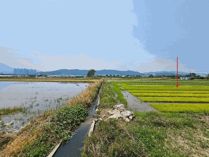 법원경매 2025타경11054 사진3 | 구미시 지산동 845-173 답 경매