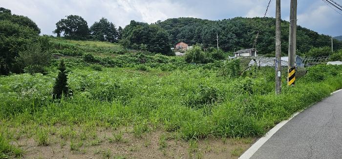법원경매 2024타경3933 사진3 | 양주시 광적면 효촌리 528 전 경매