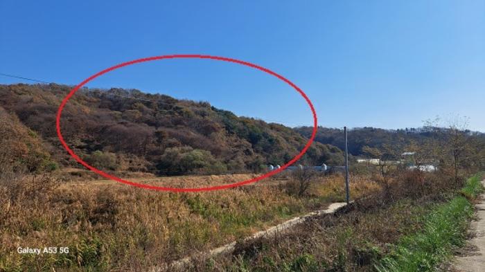 2024타경88163 법원경매 사진10 | 경기 연천군 임야 경매