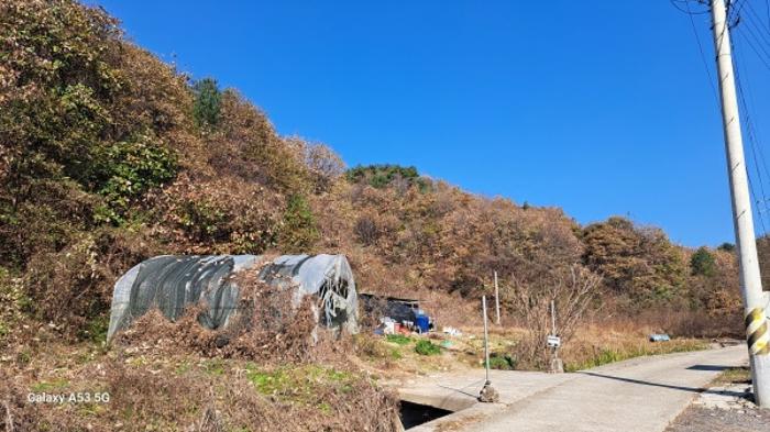 2024타경88163 법원경매 사진7 | 경기 연천군 임야 경매