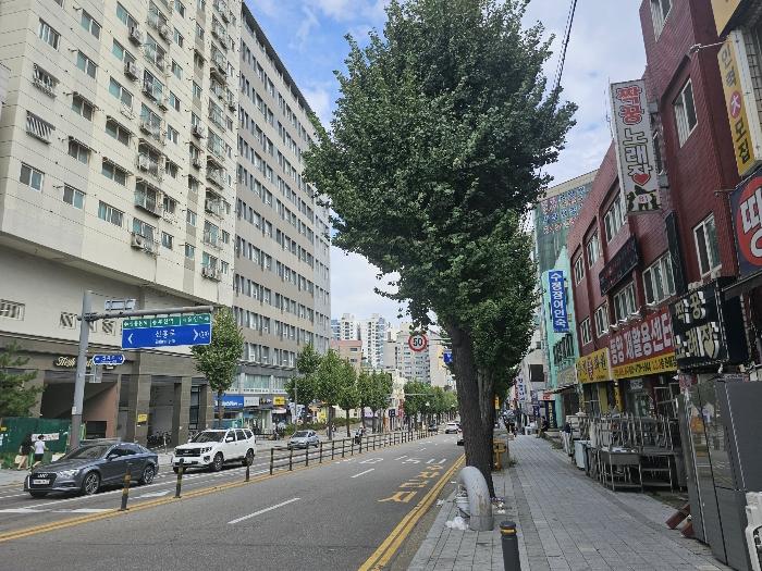 경기 부천시 원미구 부일로 429, 13층 1313호 아파트 사진 3