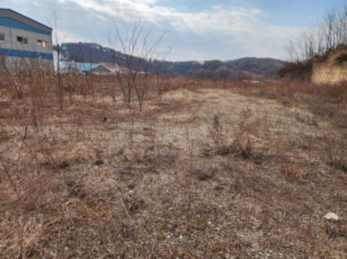 2025타경50567 법원경매 사진5 | 경기 화성시 대지,임야,전답 경매