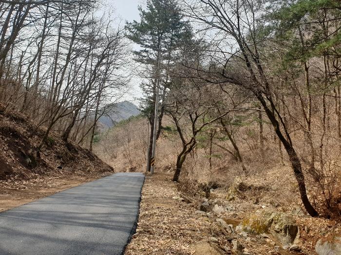 2024타경32575 법원경매 사진2 | 경기 양평군 임야 경매