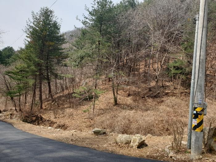 2024타경32575 법원경매 사진3 | 경기 양평군 임야 경매