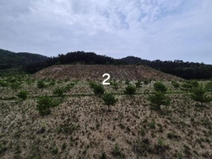 법원경매 2024타경36164 사진10 | 여주시 세종대왕면 신지리 108-11 임야 경매