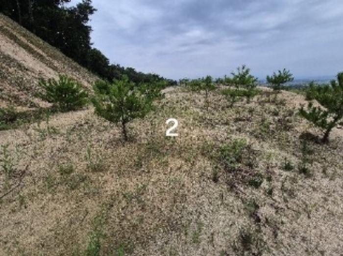 법원경매 2024타경36164 사진13 | 여주시 세종대왕면 신지리 108-11 임야 경매