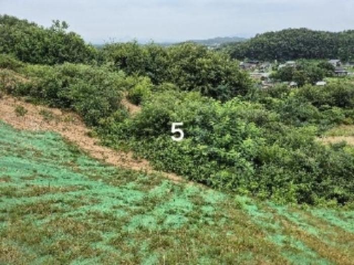 법원경매 2024타경36164 사진16 | 여주시 세종대왕면 신지리 108-11 임야 경매