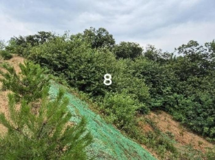 법원경매 2024타경36164 사진17 | 여주시 세종대왕면 신지리 108-11 임야 경매