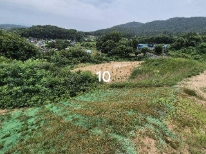 법원경매 2024타경36164 사진21 | 여주시 세종대왕면 신지리 108-11 임야 경매